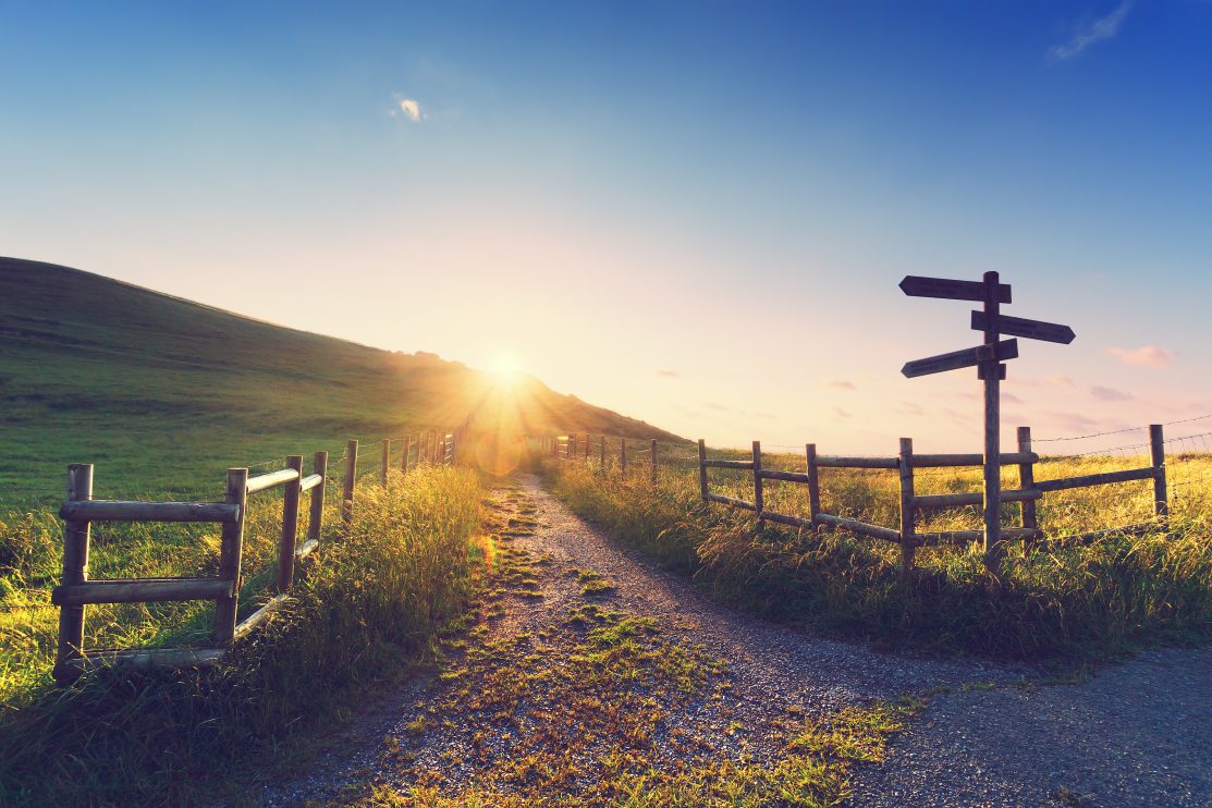 wooden-signpost-near-a-path