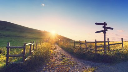 wooden-signpost-near-a-path