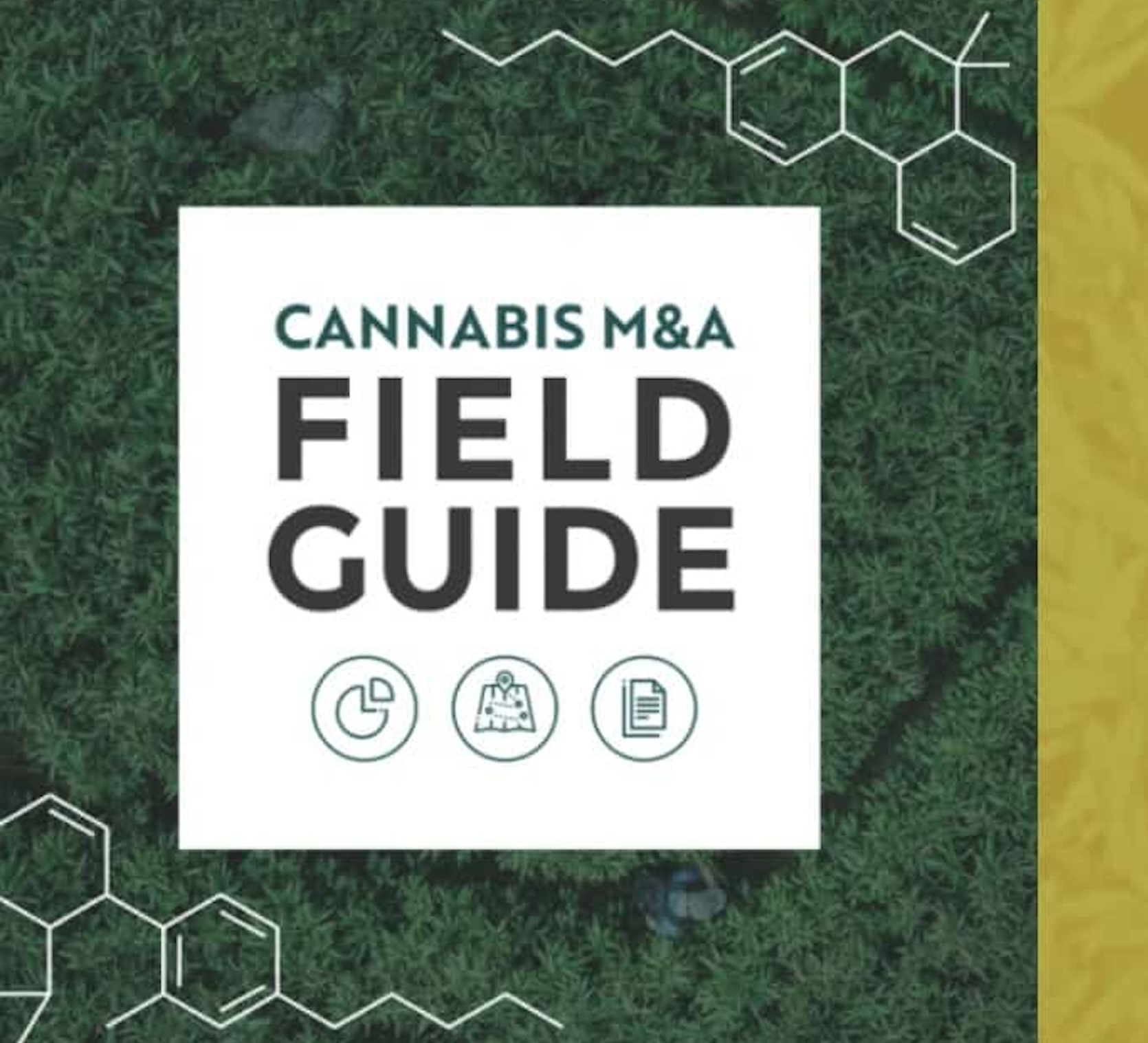 cannabis-ma-field-guide