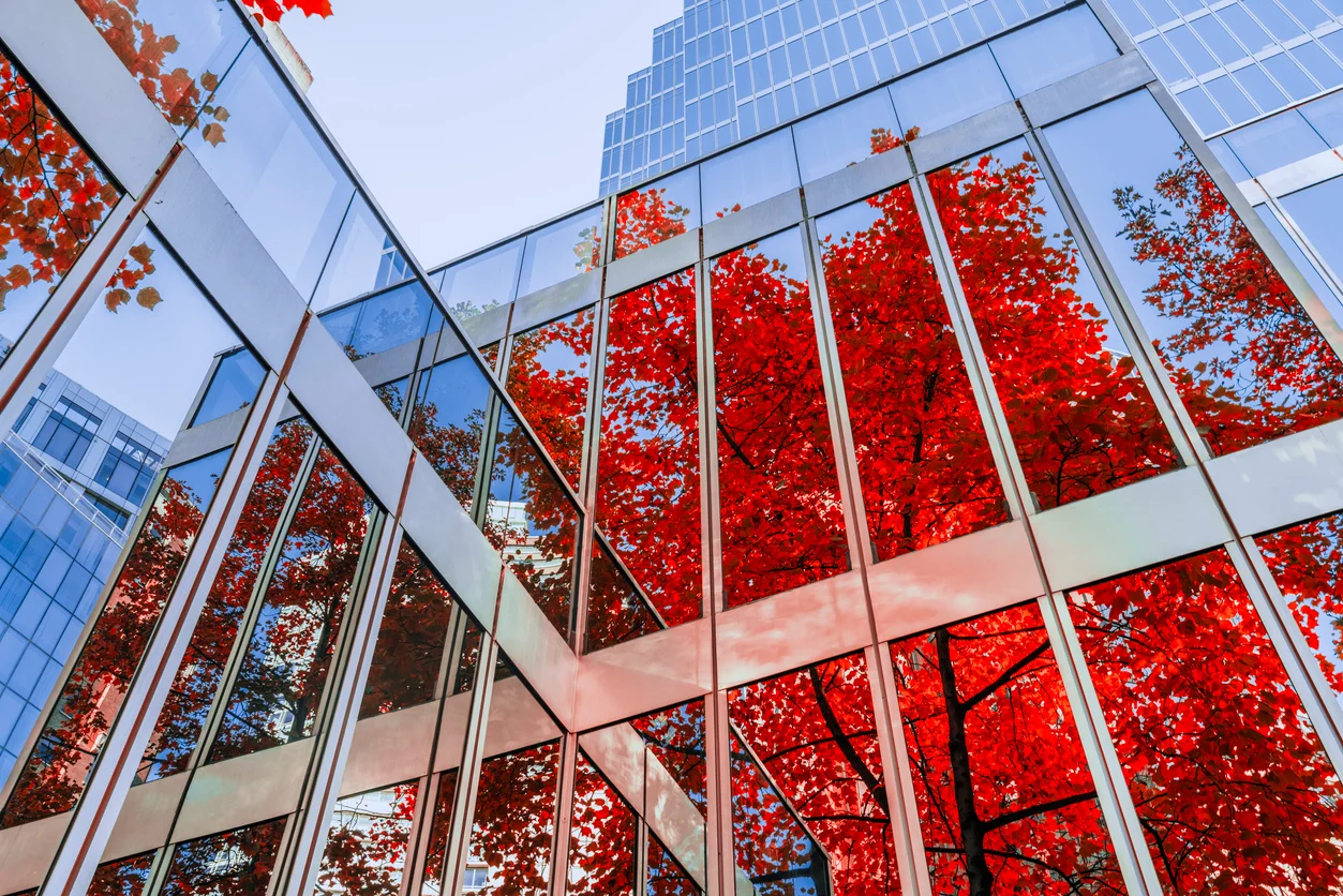 city building reflecting tree with red leaves