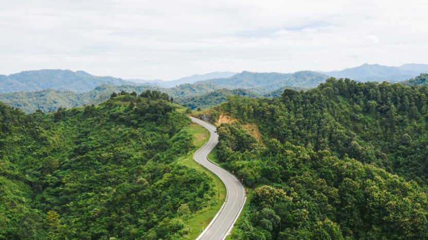 Bird-eye view of beautiful long curving road among forest