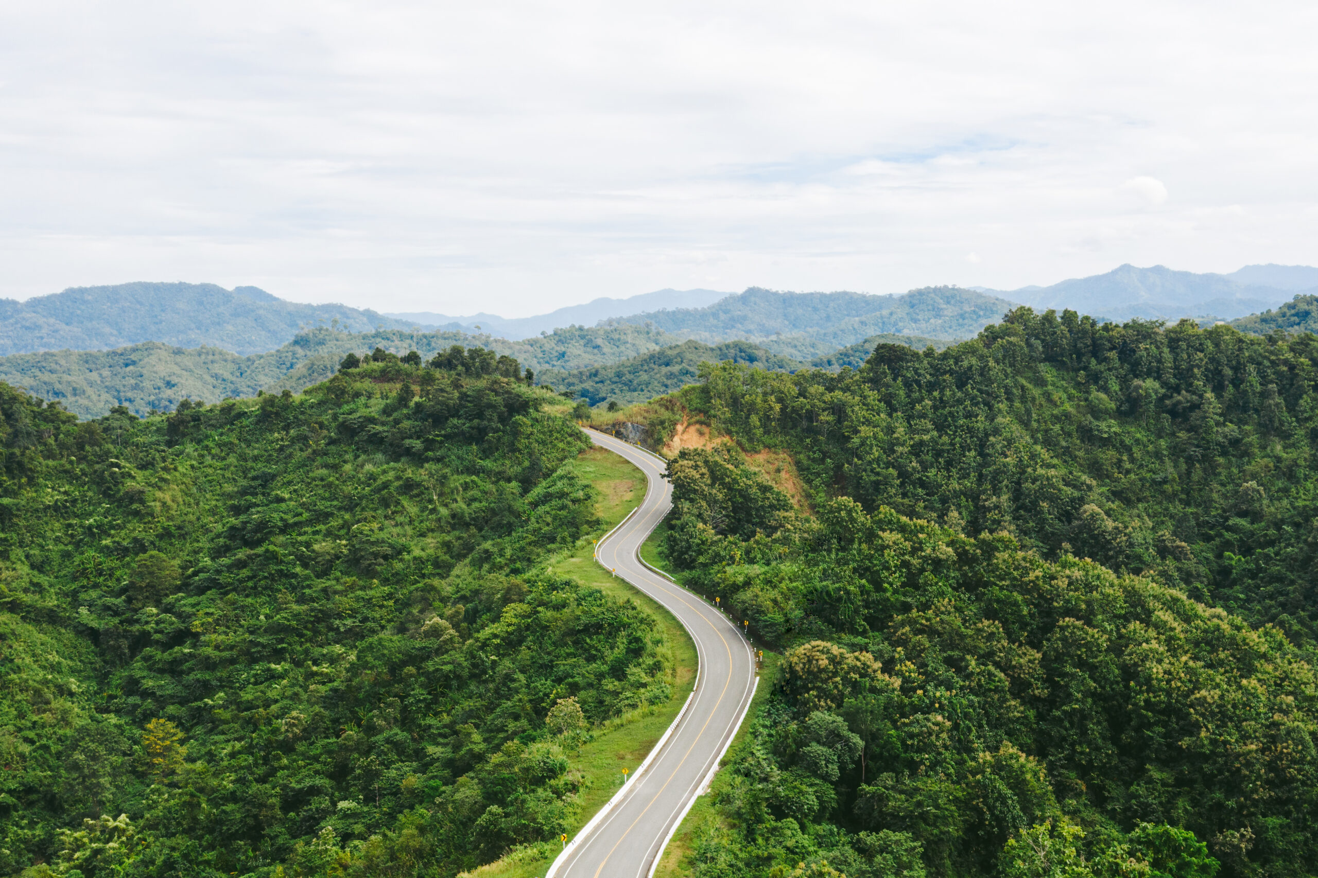 Bird-eye view of beautiful long curving road among forest