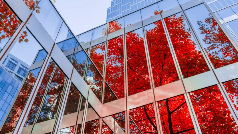 Autumn Leaves Reflecting On Office Building