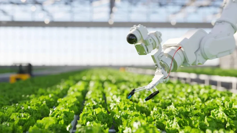 robotic greenhouse