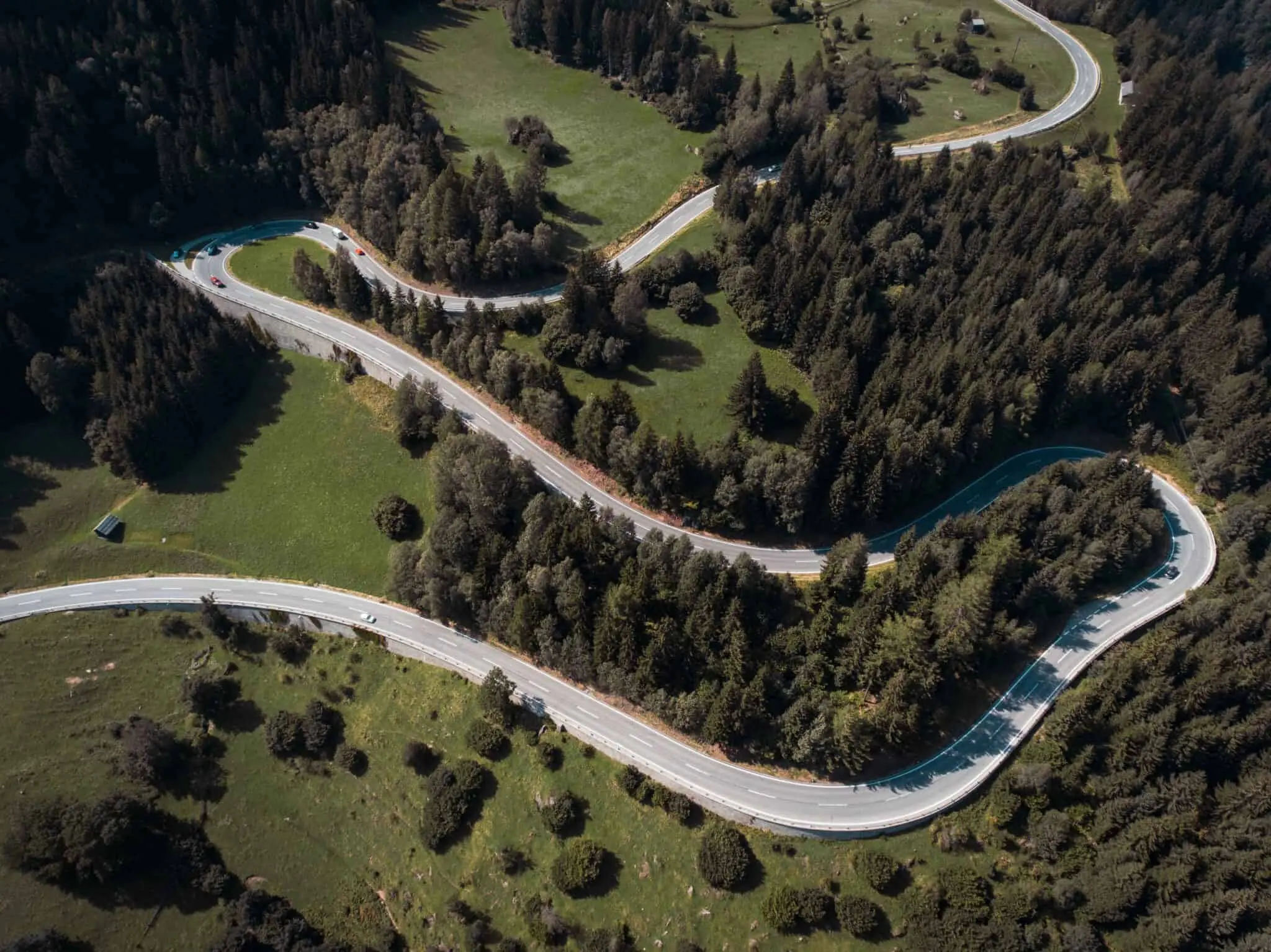 winding road through woods